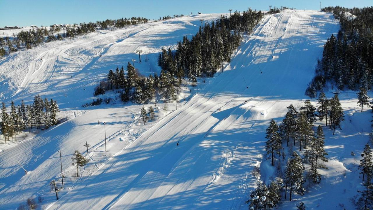 Ski Lodge Gautefall Esterno foto